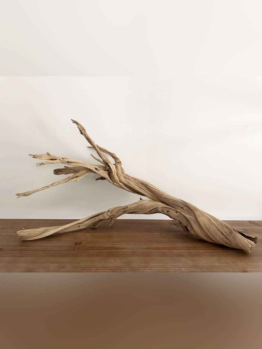 Large Natural Driftwood Branch - Coastal Beach Decor - Picture 16 of 17